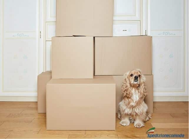 Spedizione del trasloco all'estero