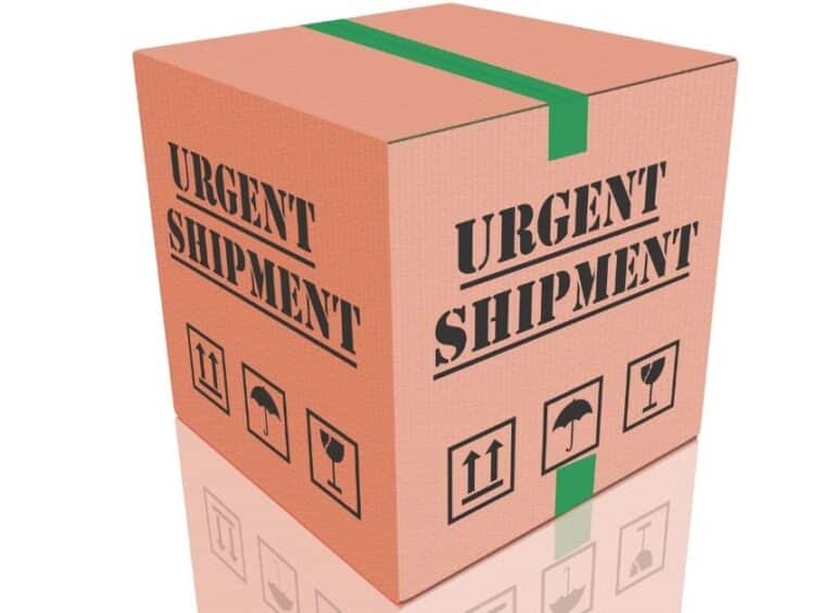 Pacco per spedizione in 24 ore